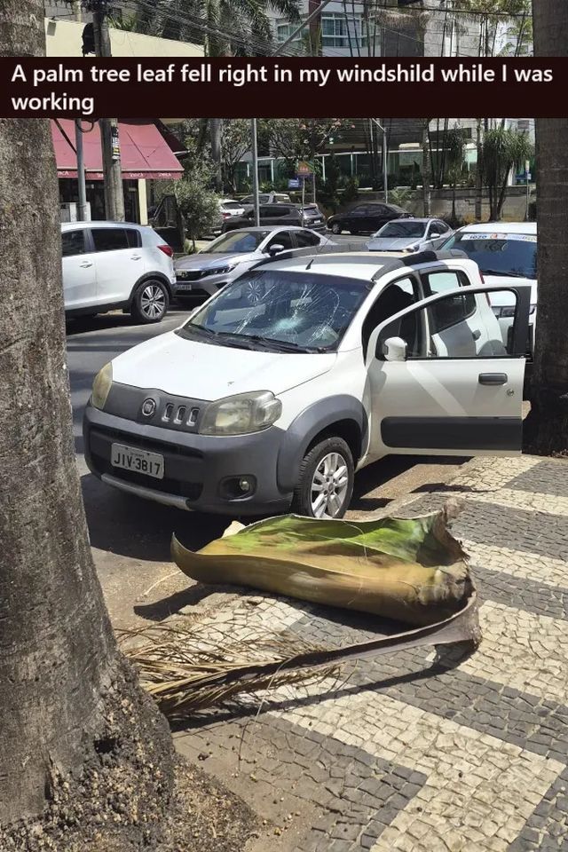 Bad Days Happen (21 pics) Bad Days Happen (21 pics)