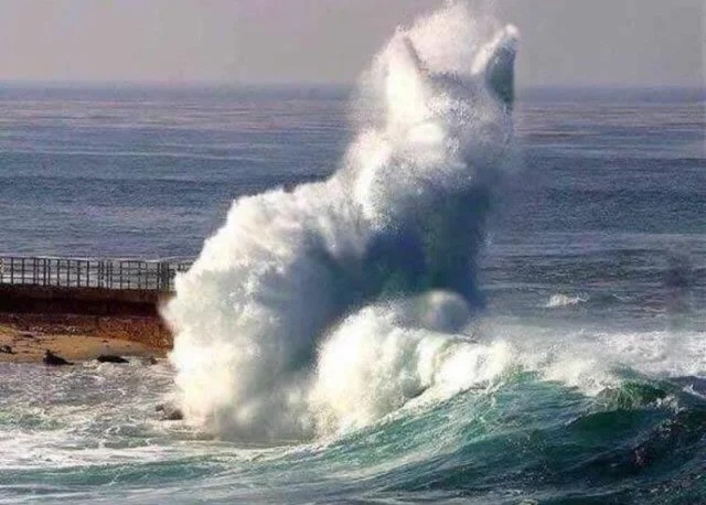 This Is Pareidolia (21 pics) This Is Pareidolia (21 pics)