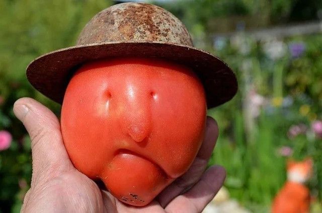 This Is Pareidolia (21 pics) This Is Pareidolia (21 pics)