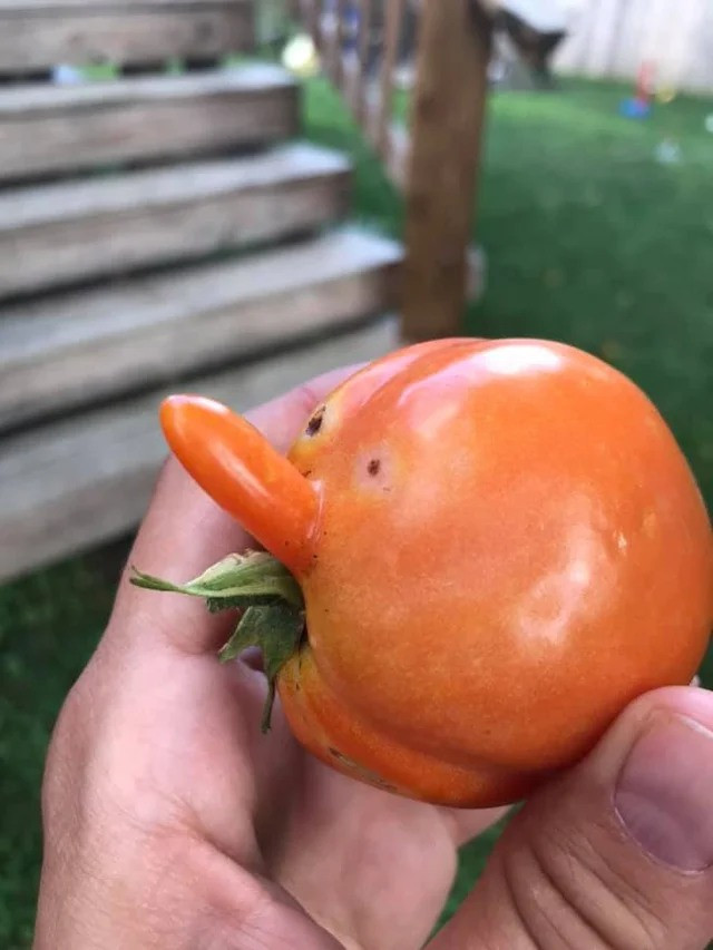 This Is Pareidolia (21 pics) This Is Pareidolia (21 pics)