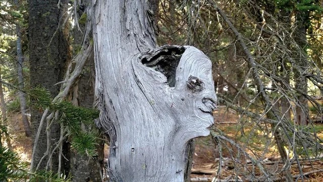 This Is Pareidolia (21 pics) This Is Pareidolia (21 pics)