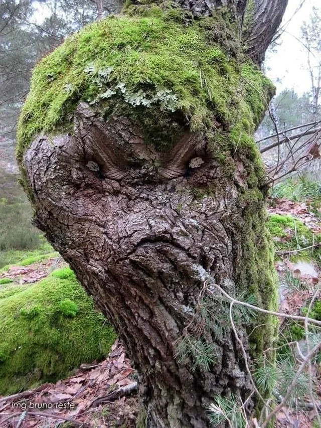 This Is Pareidolia (21 pics) This Is Pareidolia (21 pics)