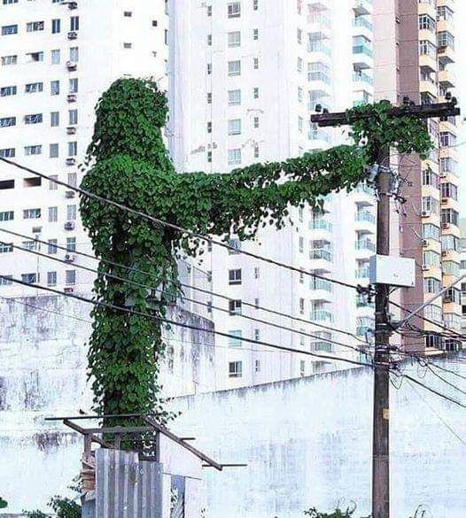 This Is Pareidolia (21 pics) This Is Pareidolia (21 pics)