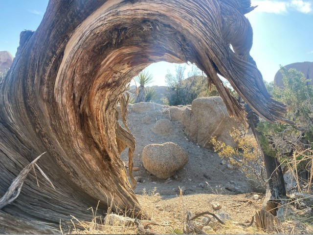 This Is Pareidolia (21 pics) This Is Pareidolia (21 pics)