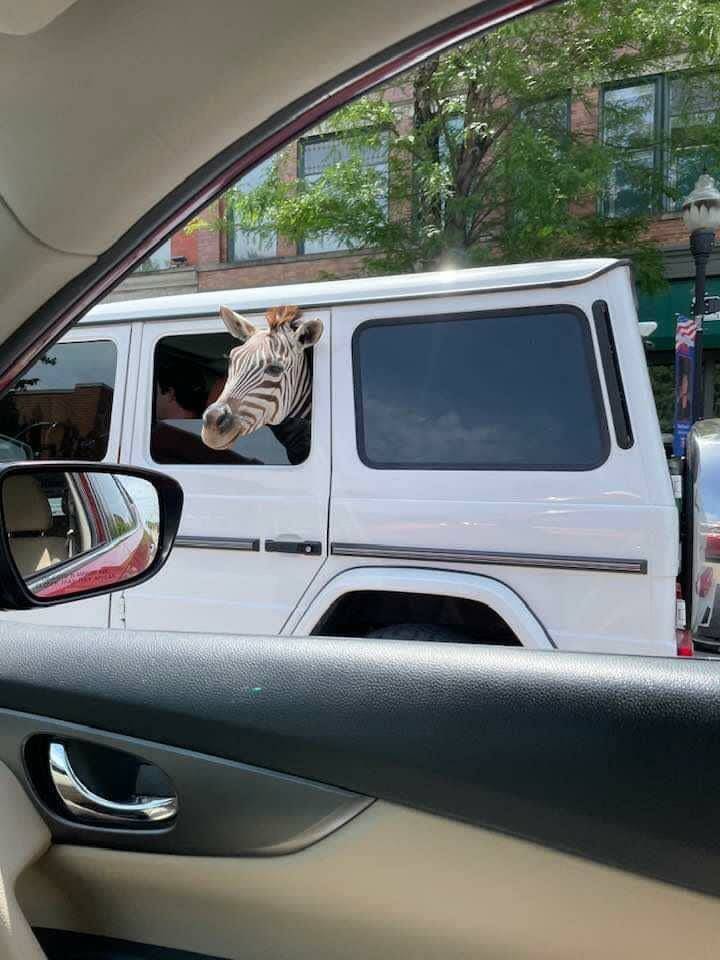 Daily Pictures. Part 2 (76 pics)