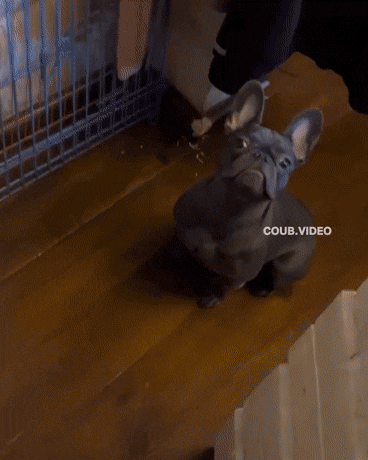 Acid GIFs, September 3 (25 gifs)