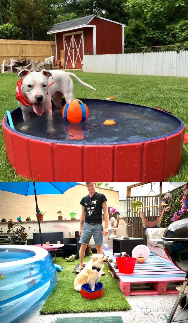Expectations Against Reality (15 pics) Expectations Against Reality (15 pics)