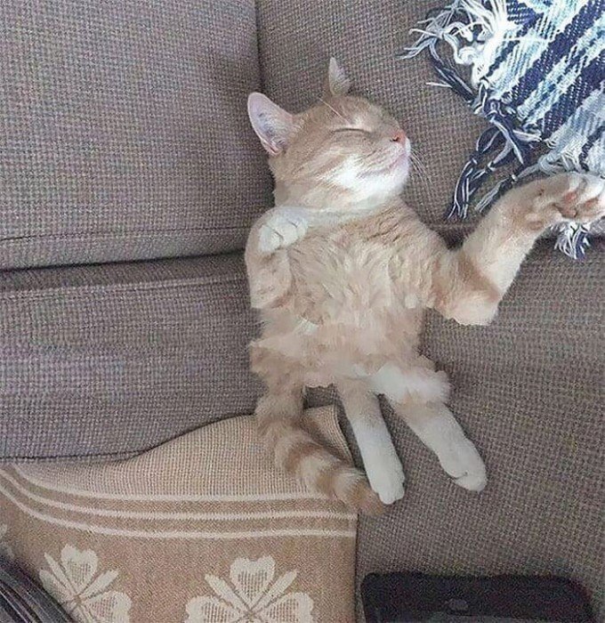 Failed Panoramic Photos (17 pics)