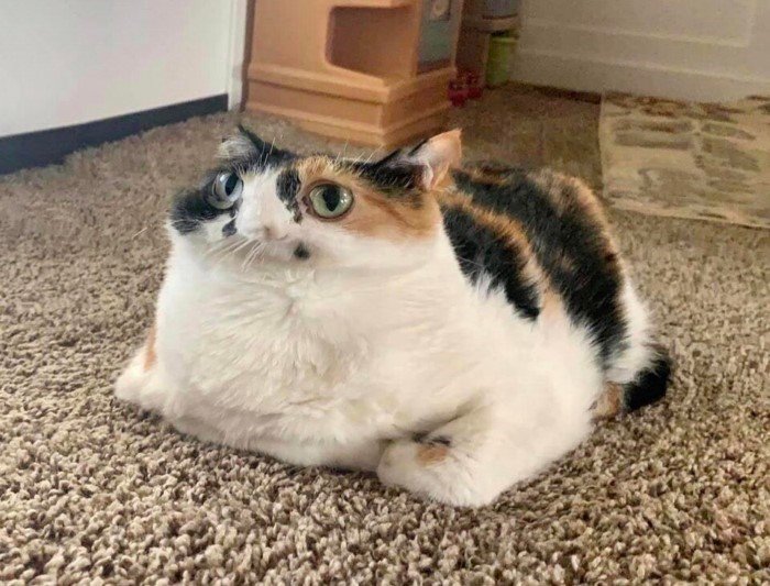Failed Panoramic Photos (17 pics)