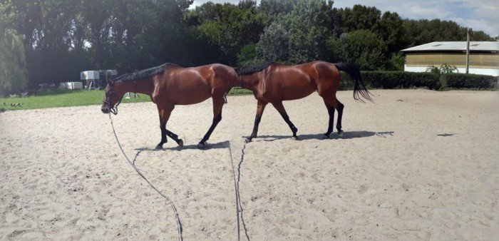 Failed Panoramic Photos (17 pics)