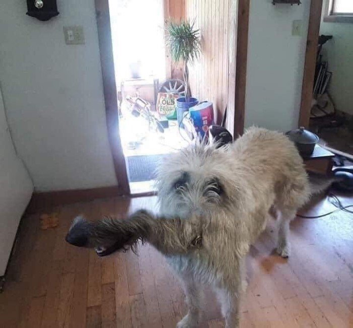 Failed Panoramic Photos (17 pics)