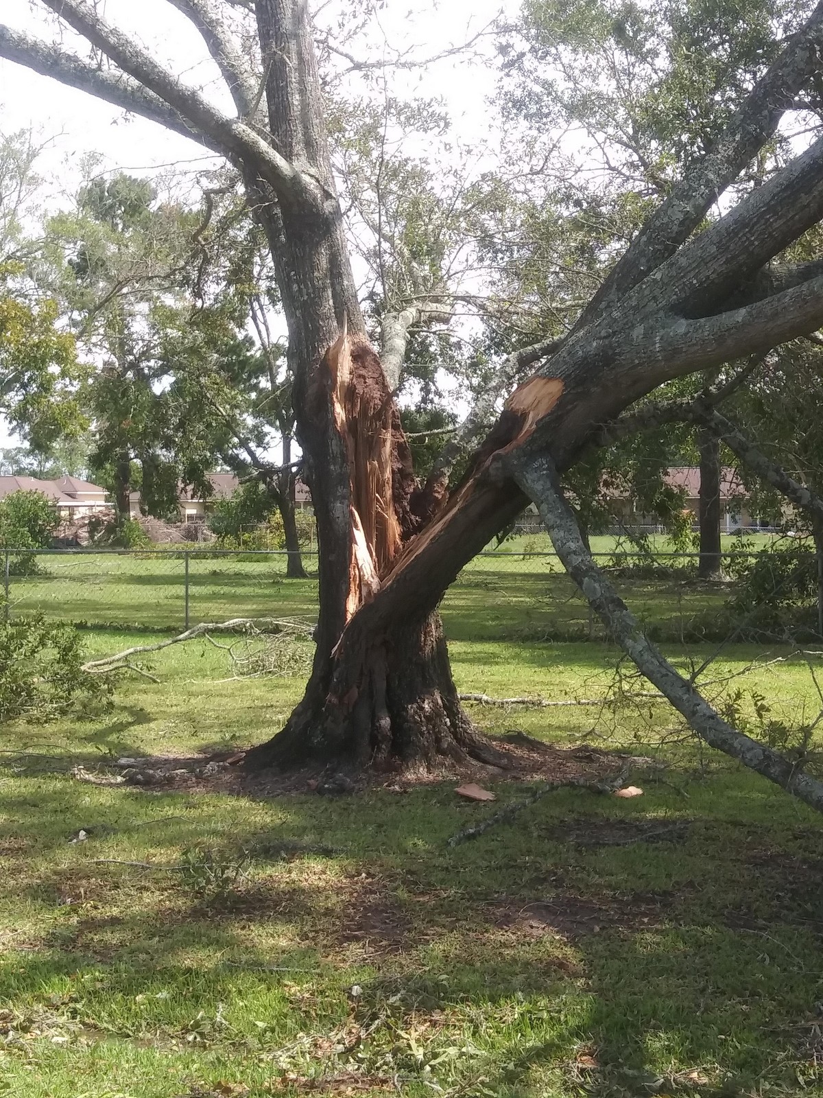 Bad Days Happen (25 pics) Bad Days Happen (25 pics)