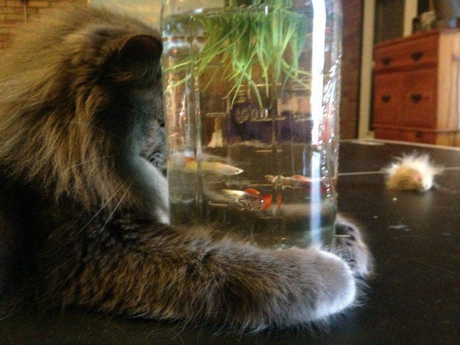 Daily Pictures. Part 2 (79 pics)