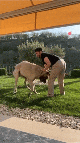 1788453958_10.gif