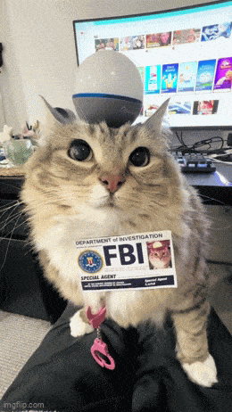 Acid GIFs, September 4 (25 gifs)