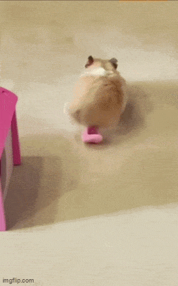 Acid GIFs, September 4 (25 gifs)