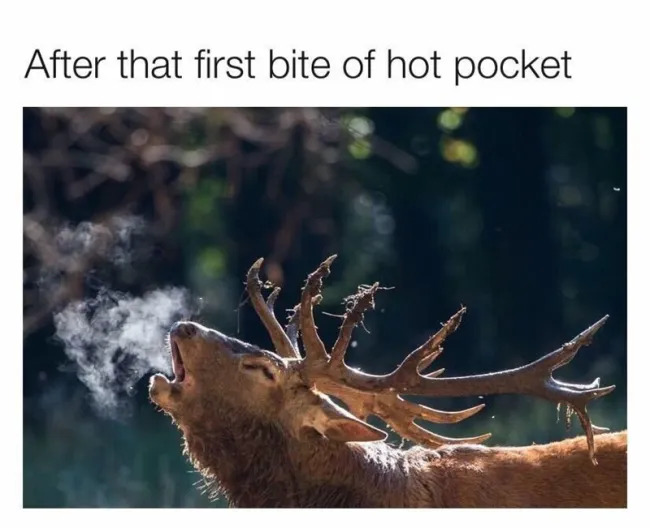 Funny Memes (23 pics)