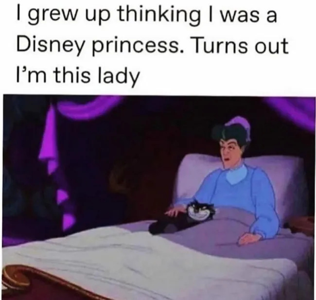 Funny Memes (23 pics)