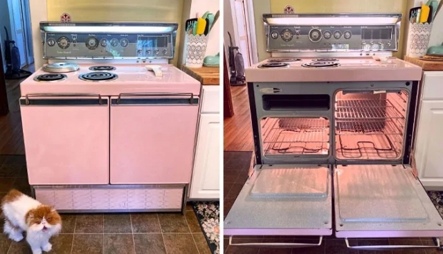 Immortal Things From The Past (19 pics) Immortal Things From The Past (19 pics)