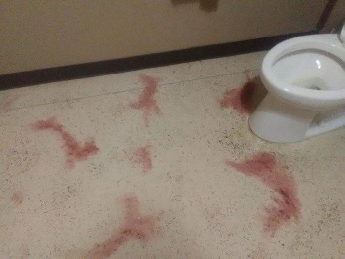 What Is Going On Here? (19 pics)