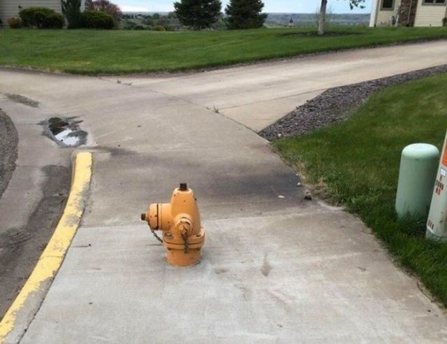 What Is Going On Here? (19 pics)