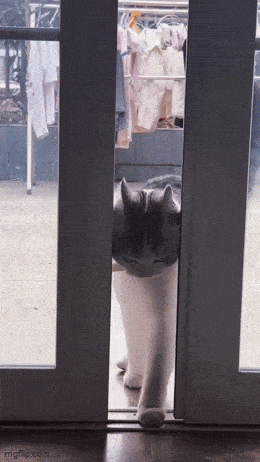 Acid GIFs, September 7 (25 gifs) Acid GIFs, September 7 (25 gifs)