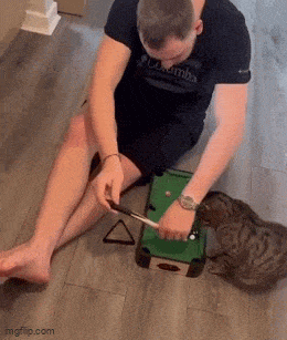 Acid GIFs, September 7 (25 gifs) Acid GIFs, September 7 (25 gifs)