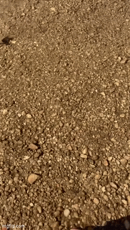 Acid GIFs, September 7 (25 gifs) Acid GIFs, September 7 (25 gifs)