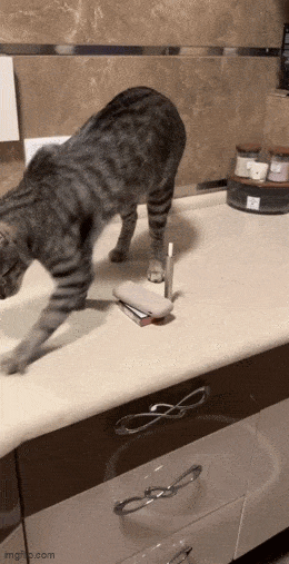 Acid GIFs, September 7 (25 gifs) Acid GIFs, September 7 (25 gifs)