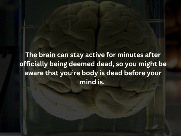 Creepy Facts (15 pics)