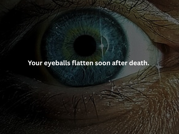 Creepy Facts (15 pics)