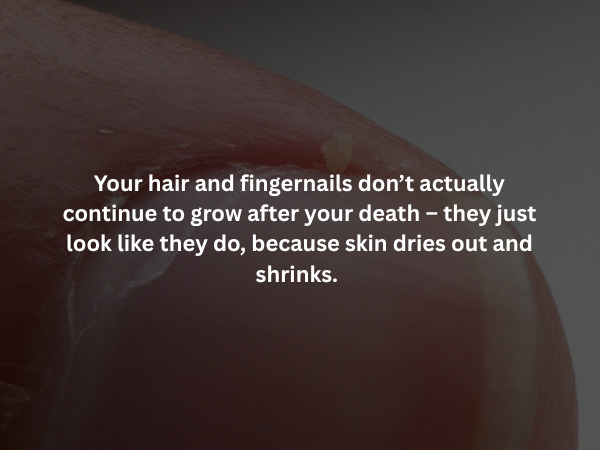 Creepy Facts (15 pics)