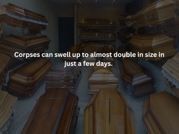 Creepy Facts (15 pics)