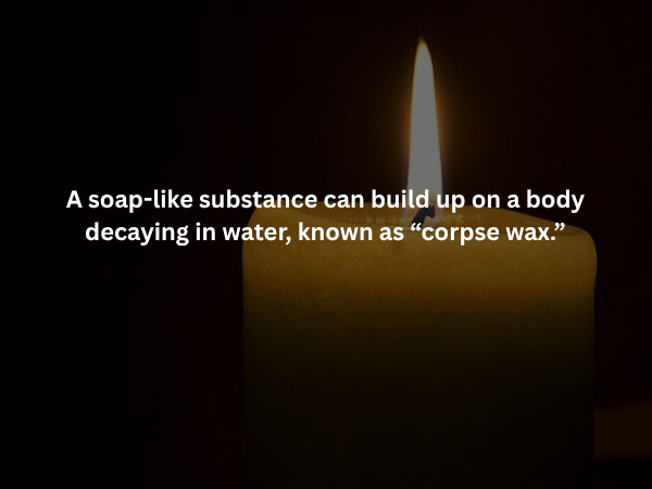 Creepy Facts (15 pics)