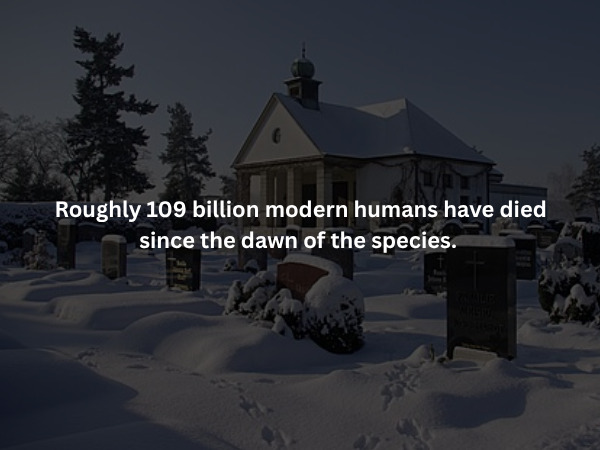 Creepy Facts (15 pics)