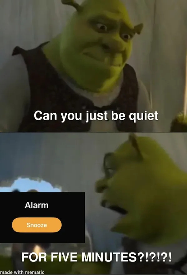 Truthful Memes (29 pics)