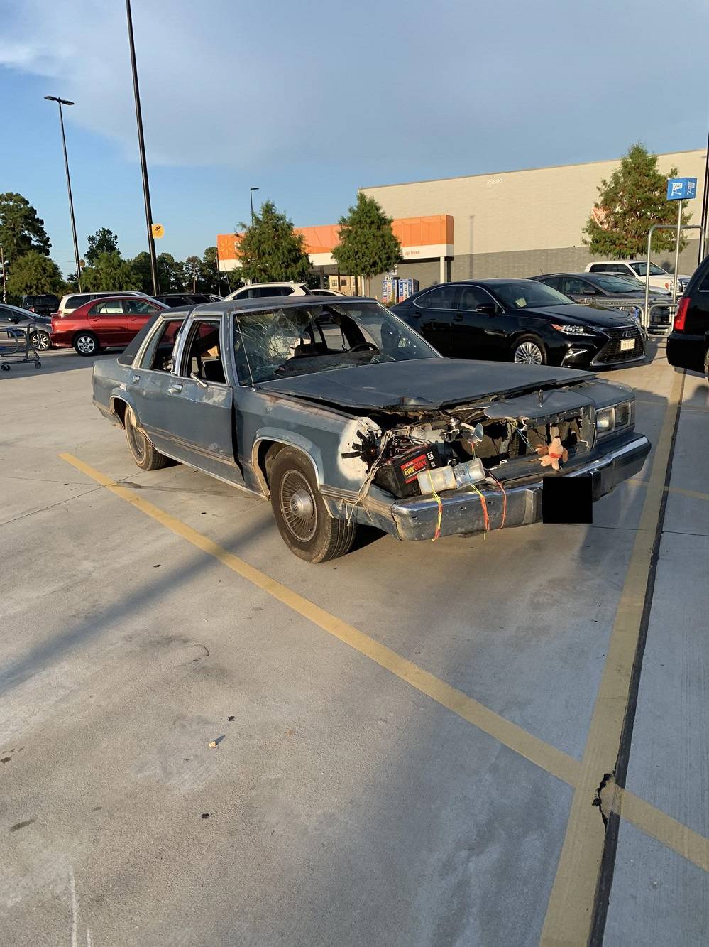 Daily Pictures. Part 1 (78 pics)