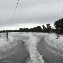 Acid GIFs, September 8 (25 gifs) Acid GIFs, September 8 (25 gifs)