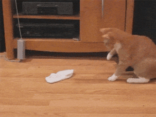 Acid GIFs, September 8 (25 gifs) Acid GIFs, September 8 (25 gifs)