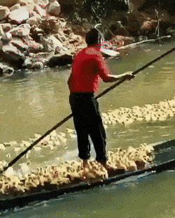 Acid GIFs, September 8 (25 gifs) Acid GIFs, September 8 (25 gifs)