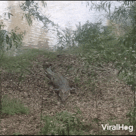 Acid GIFs, September 8 (25 gifs) Acid GIFs, September 8 (25 gifs)