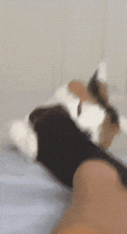 Acid GIFs, September 8 (25 gifs) Acid GIFs, September 8 (25 gifs)
