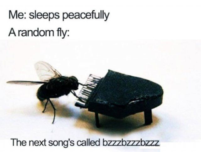 Sleep Memes (18 pics)