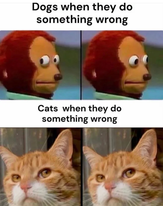 Funny Memes (16 pics)