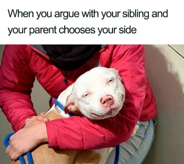 Memes About Siblings (21 pics) Memes About Siblings (21 pics)