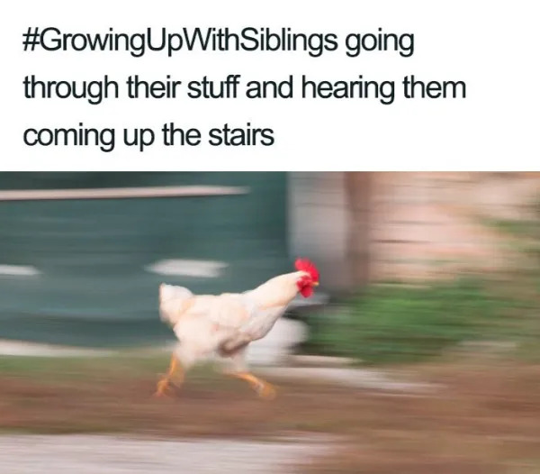 Memes About Siblings (21 pics) Memes About Siblings (21 pics)