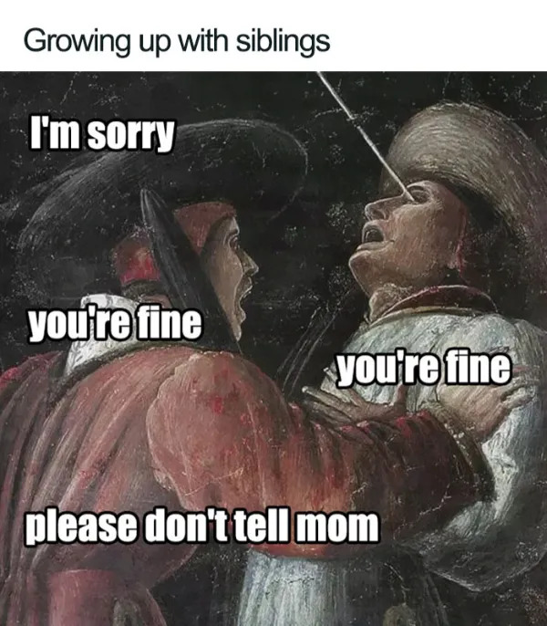 Memes About Siblings (21 pics) Memes About Siblings (21 pics)
