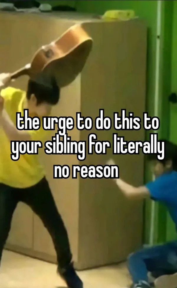Memes About Siblings (21 pics) Memes About Siblings (21 pics)