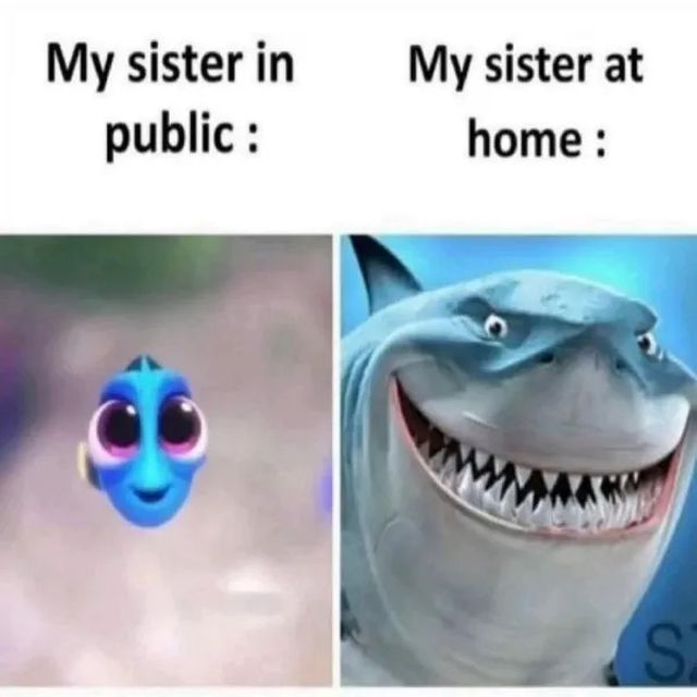 Memes About Siblings (21 pics)