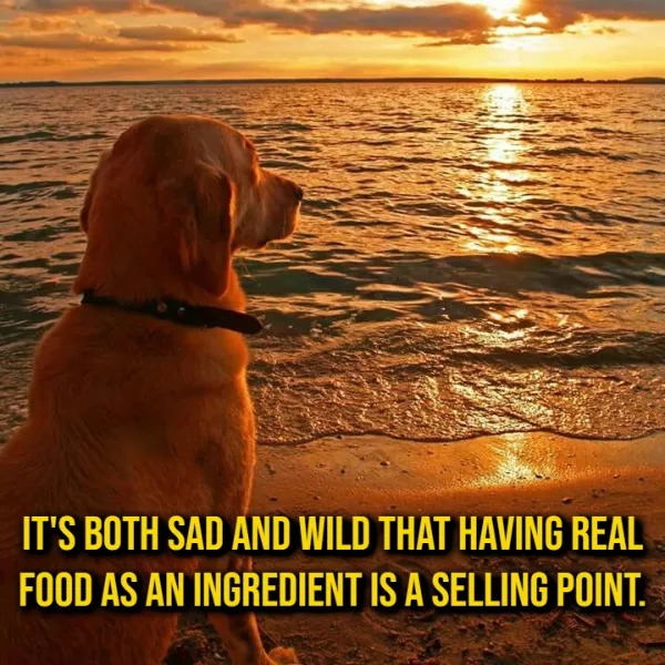 Weird Thoughts (15 pics)